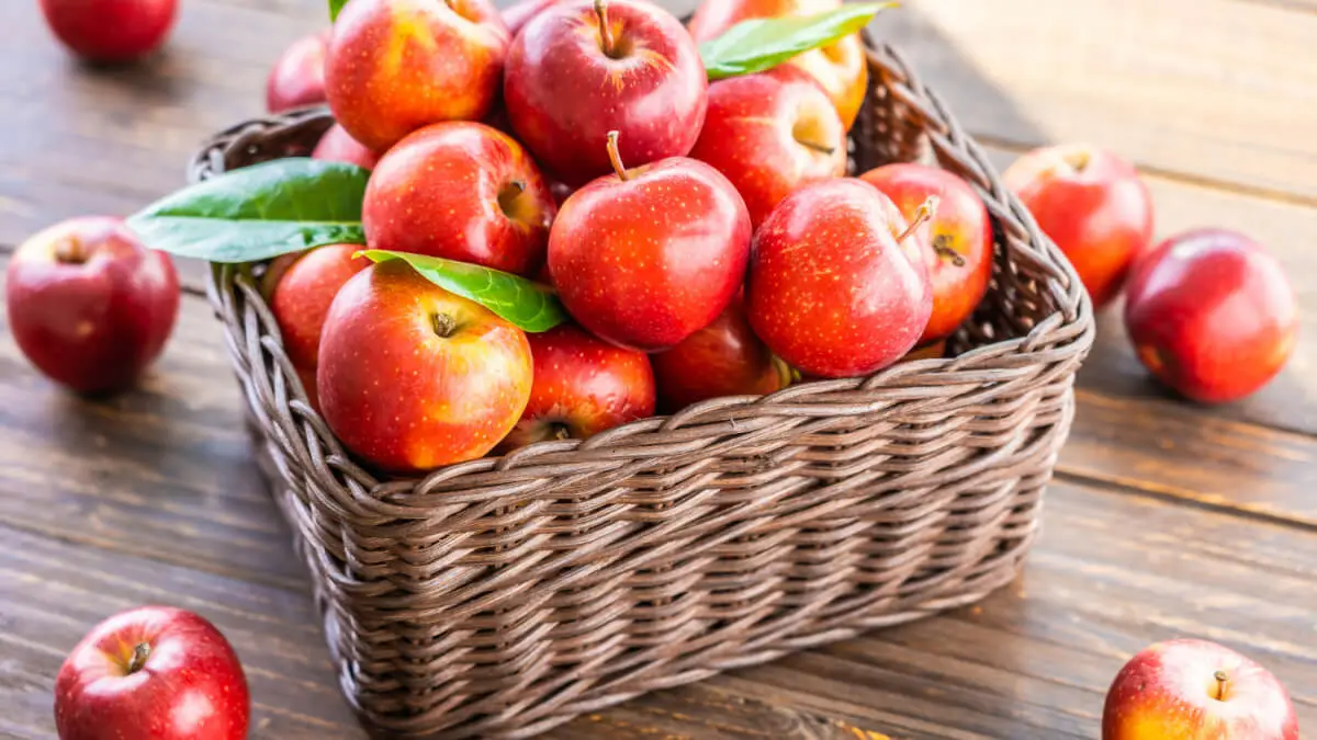 Hur många kalorier är det i ett äpple? illustration